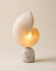 Nautilus Table Lamp — spiral shell-shaped translucent lamp by LoveÉcru