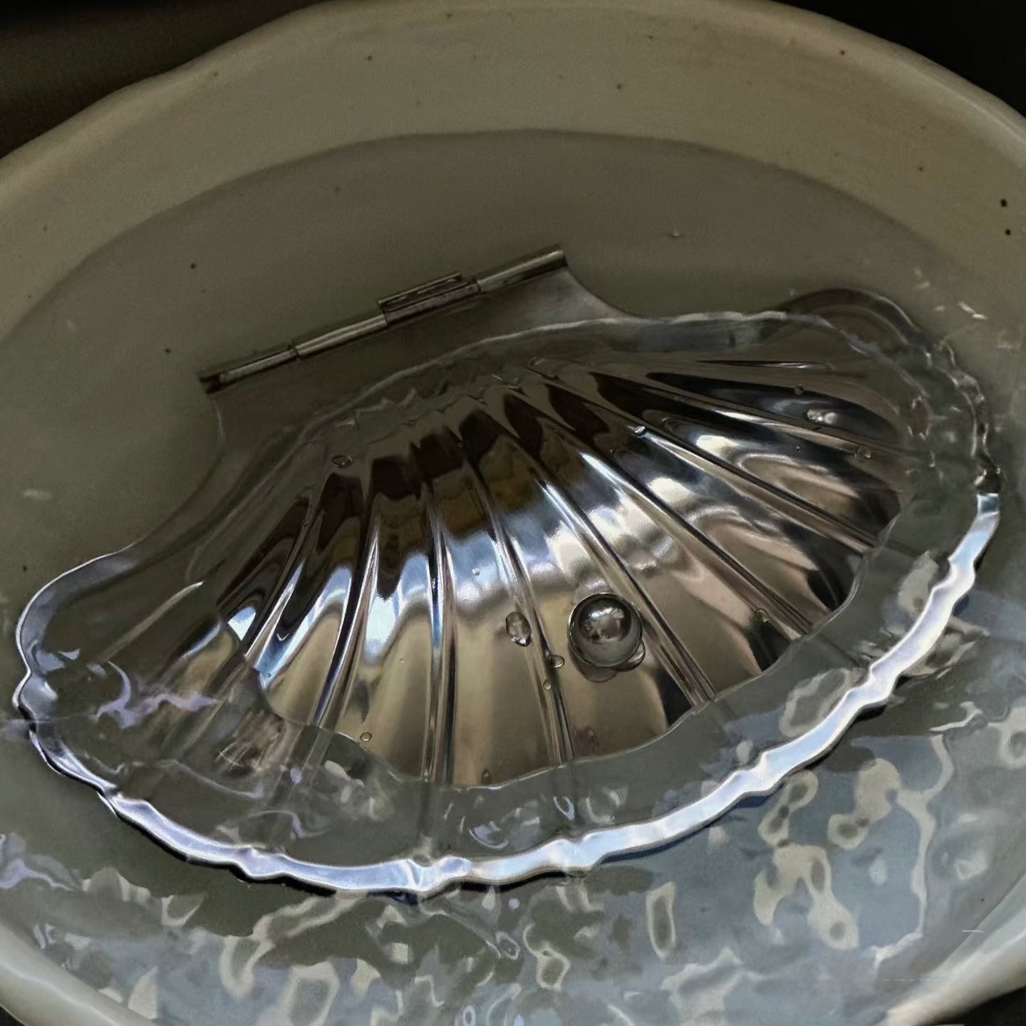 Estuche vintage de plata con forma de concha