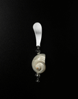 Shoreline butter knife with a natural shell handle on a black background