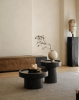 Modern living room with Seal Coffee Table, featuring minimalist decor, black round tables, and natural lighting.