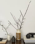 Elegant arrangement of pottery vases with minimalist branches on a wooden table, showcasing a chic and natural aesthetic.