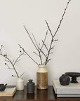 Elegant display of shabby chic black vase and pottery collection with nature-inspired designs on a wooden shelf.