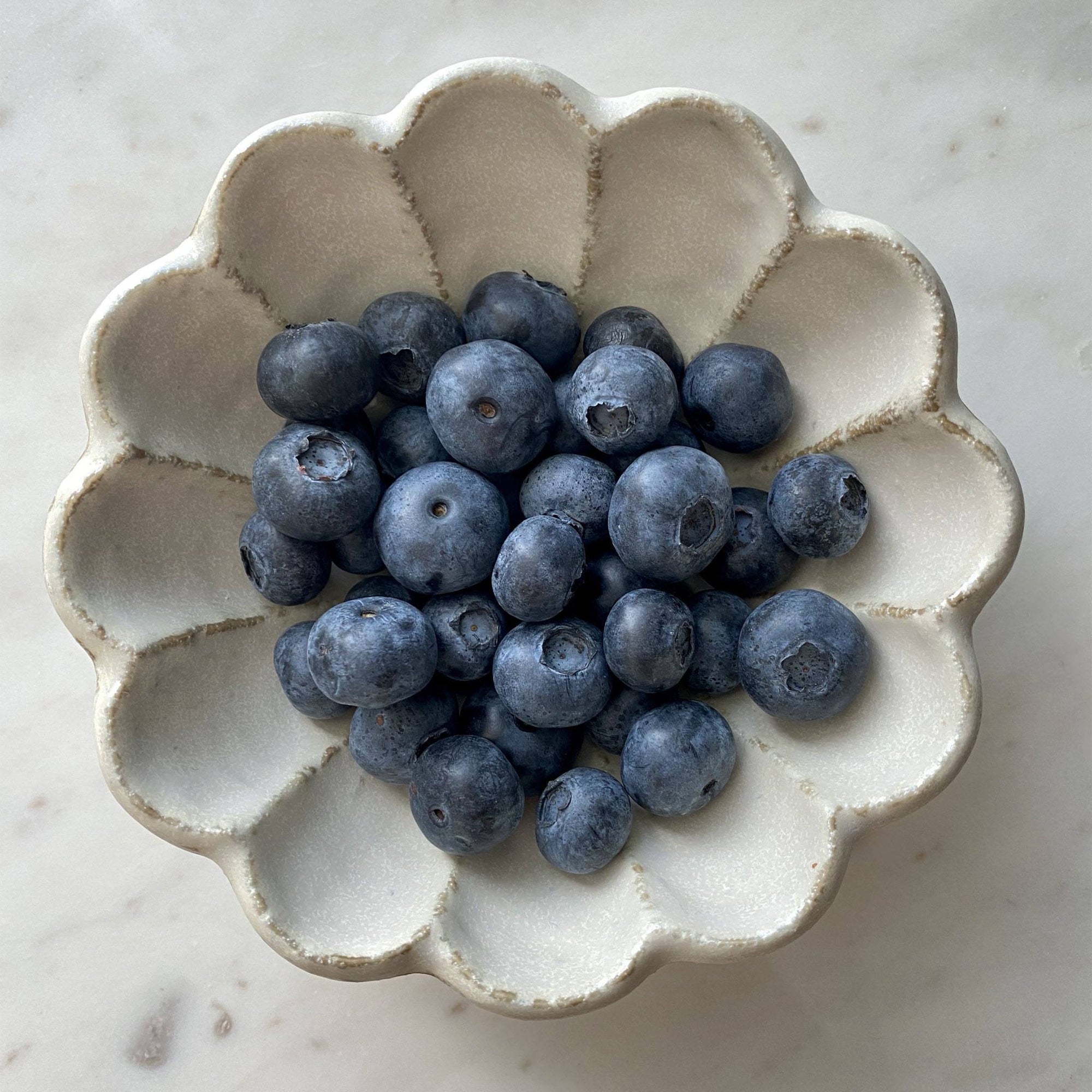 Handmade Rinka Bowl 12cm filled with fresh blueberries, showcasing its delicate flower-shaped porcelain design.