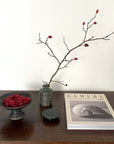 Elegant tabletop with raspberries on a black plate, a vase with a branch, and a book on a wooden surface for a minimalist decor.