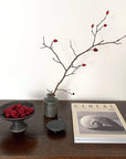 Elegant table setting with a branch in a green vase, a bowl of raspberries, and a chic magazine, embodying sophisticated home decor.