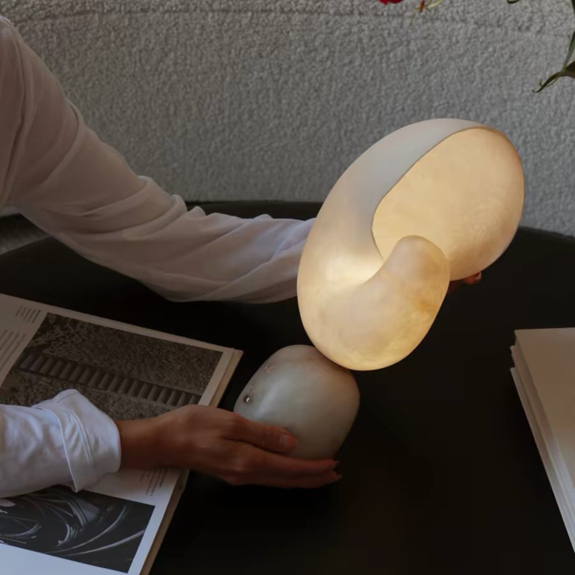 Nautilus Table Lamp