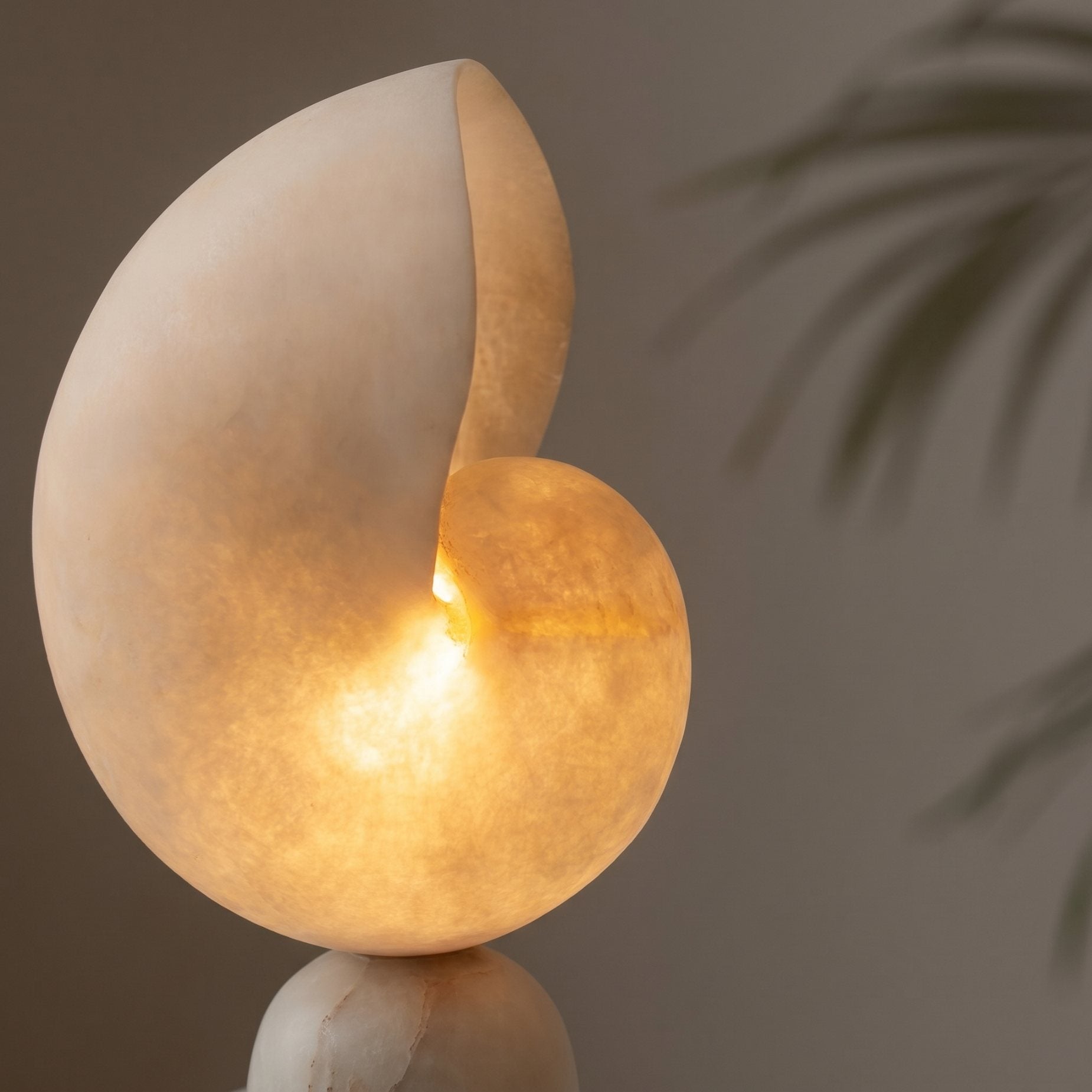 Nautilus Table Lamp