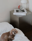 Orbit Alarm Clock