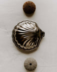 Vintage Metal Shell Box in silver, scallop shell shape, top view with sea urchin shells