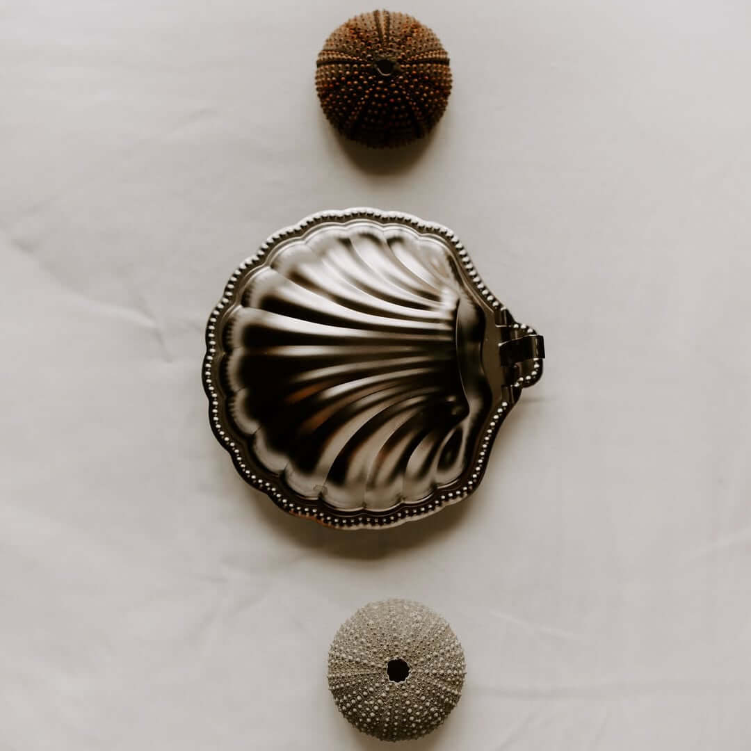 Vintage Metal Shell Box – LoveÉcru