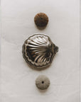 Vintage Metal Shell Box closed, top view with dried sea urchin shells