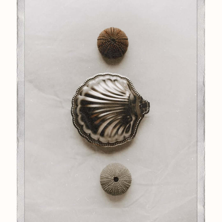 Vintage Metal Shell Box – LoveÉcru