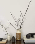 Elegant arrangement of pottery vases with minimalist branches on a wooden table, showcasing a chic and natural aesthetic.