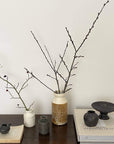 Elegant display of ceramic vases with branches, showcasing natural and minimalist decor on a wooden shelf.